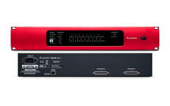 Focusrite Pro RedNet 1 - 18x8 Analog I/O Dante Arabirimi