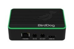 BirdDog 4K Flex In